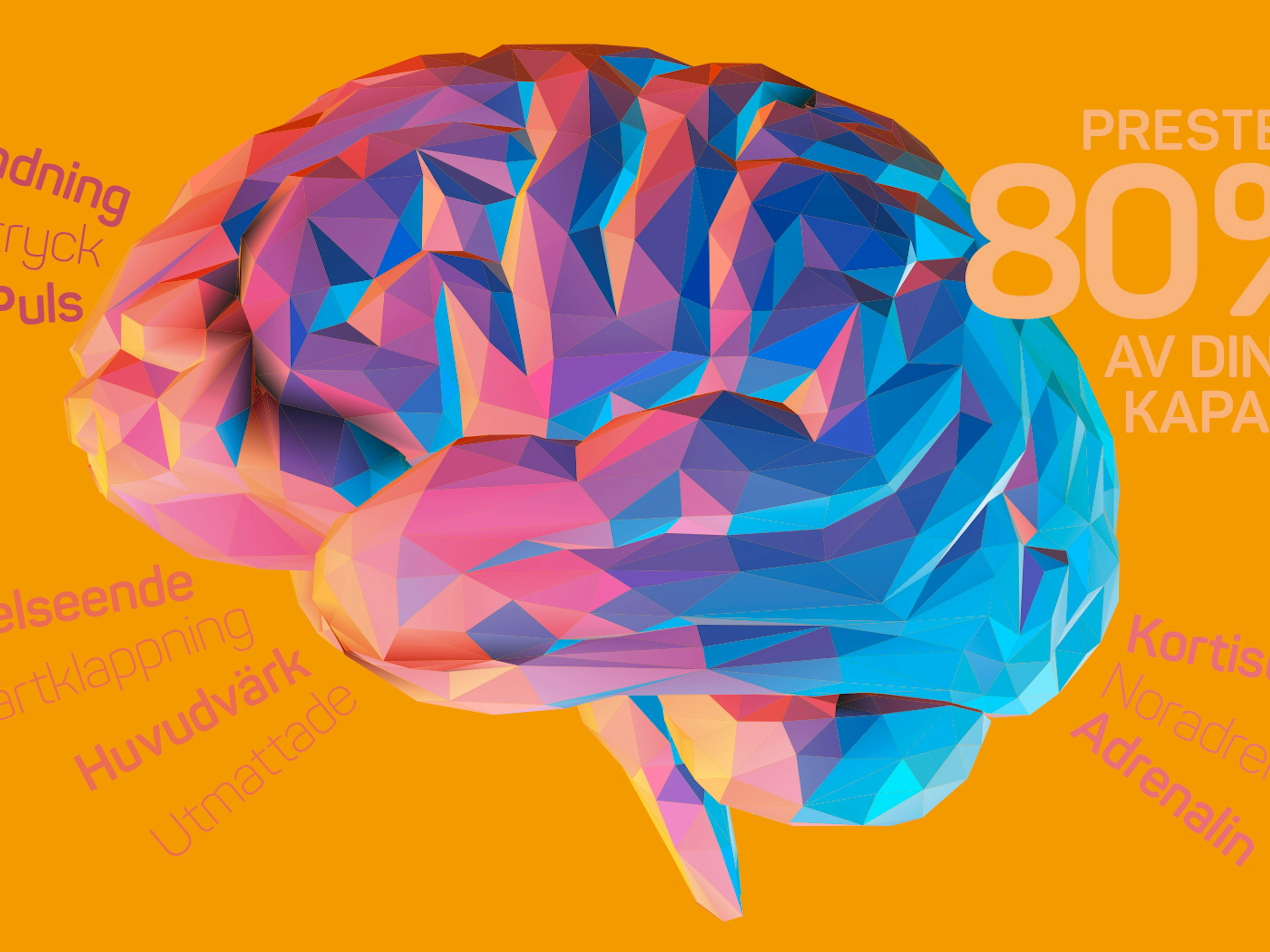 Nyhetsartikelns bild