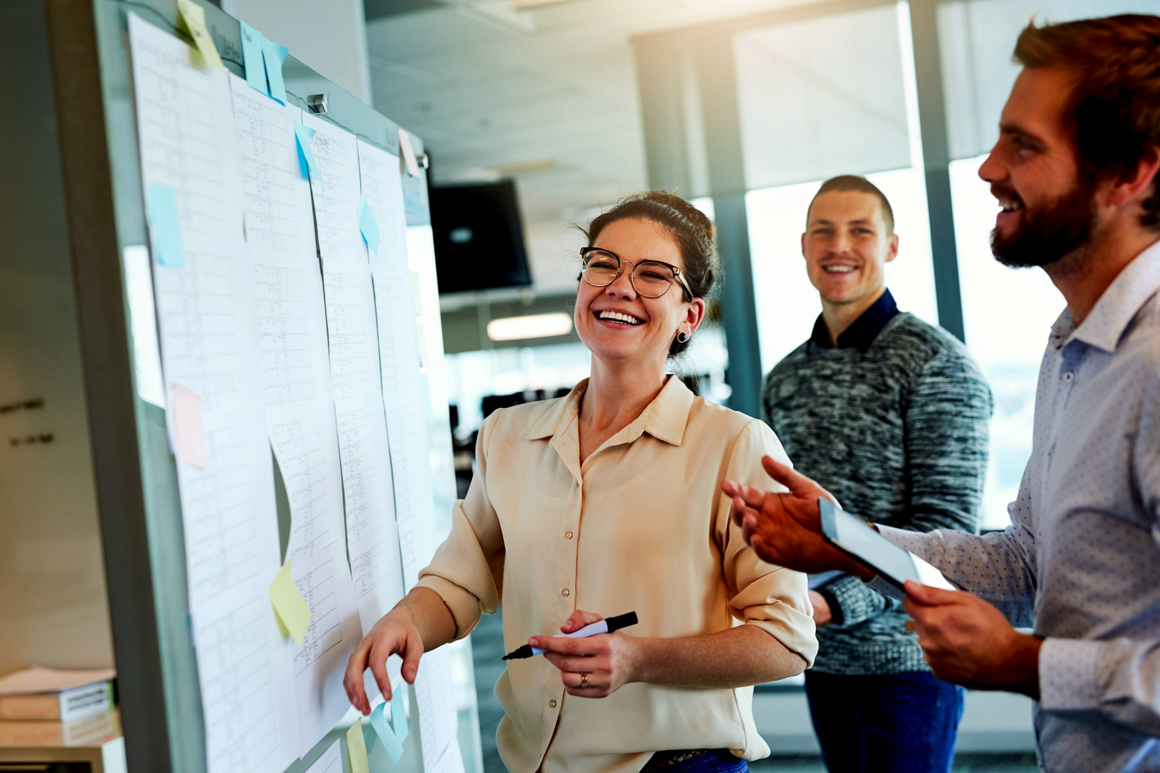 Kompetensinventering Org