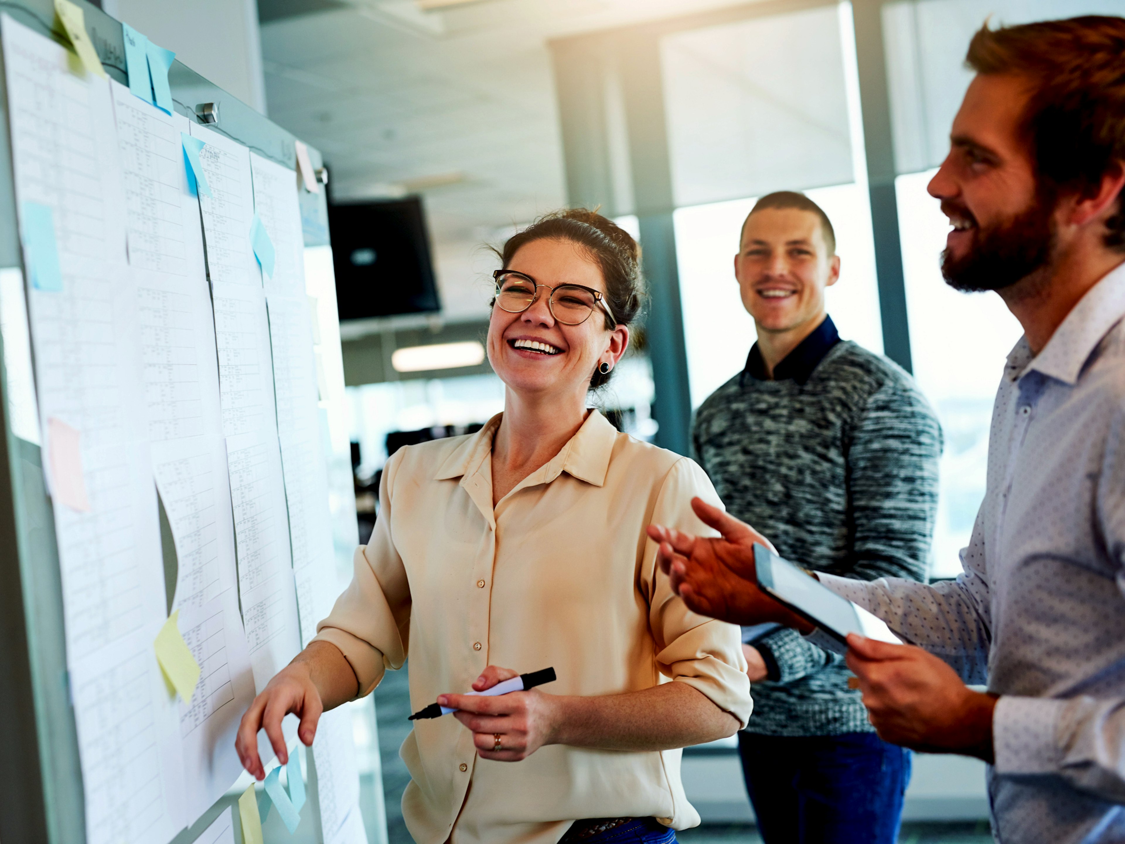 Kompetensinventering Org