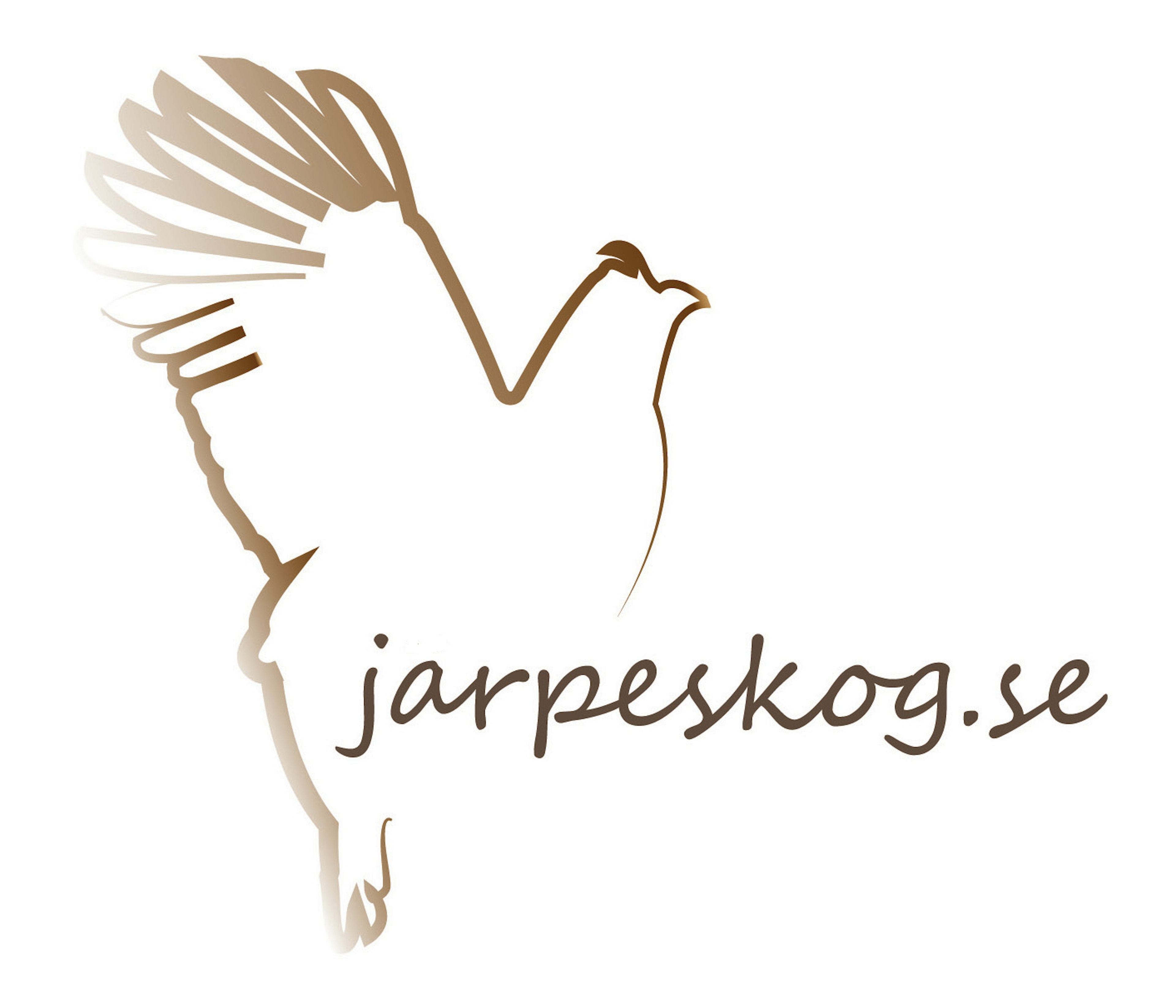 Jarpeskog (1)