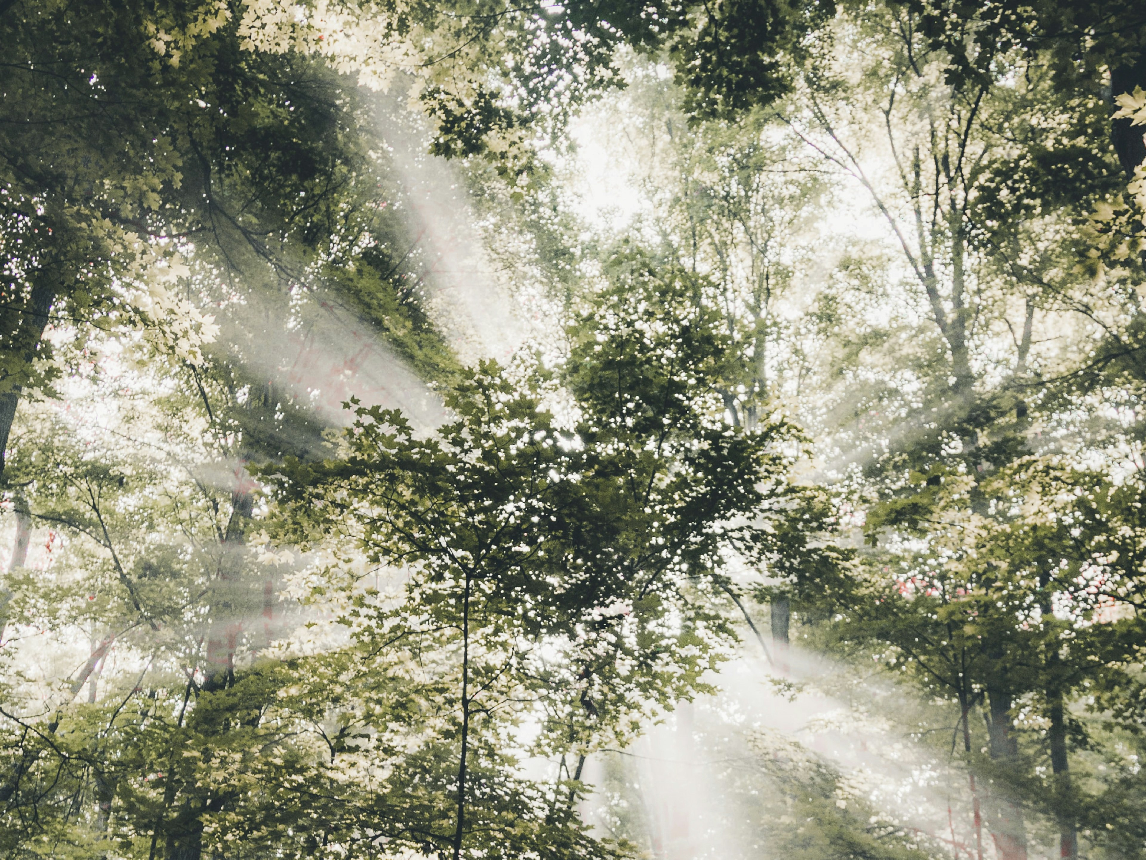 Så Blir Företaget Mer Hållbart